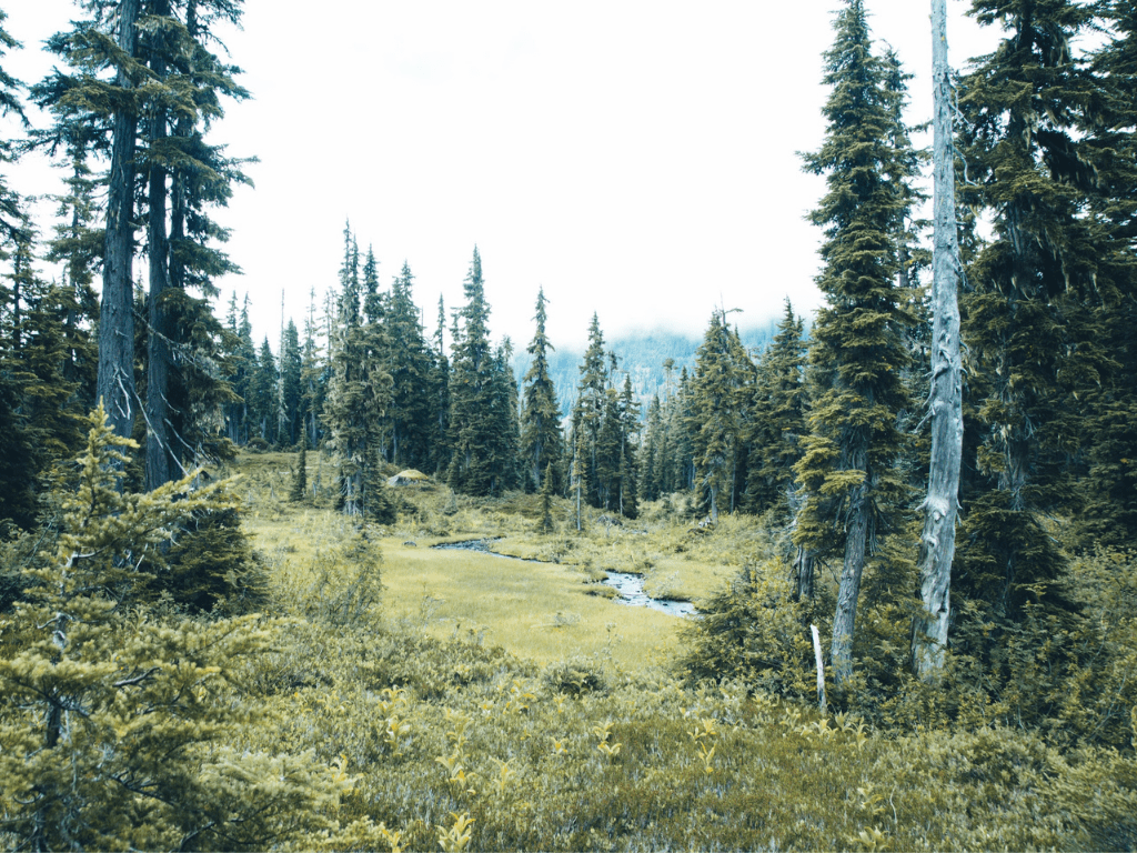 Buildable lot