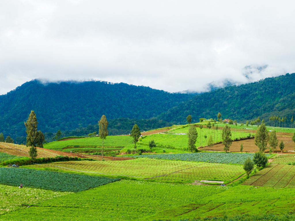 subdividing land