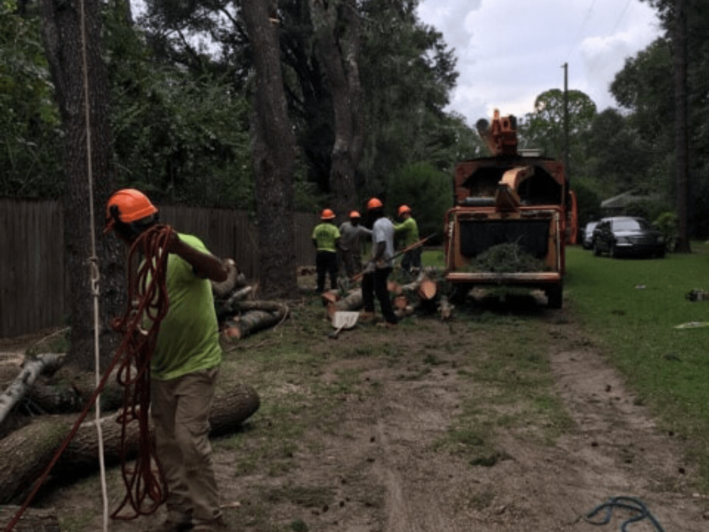 clearing land