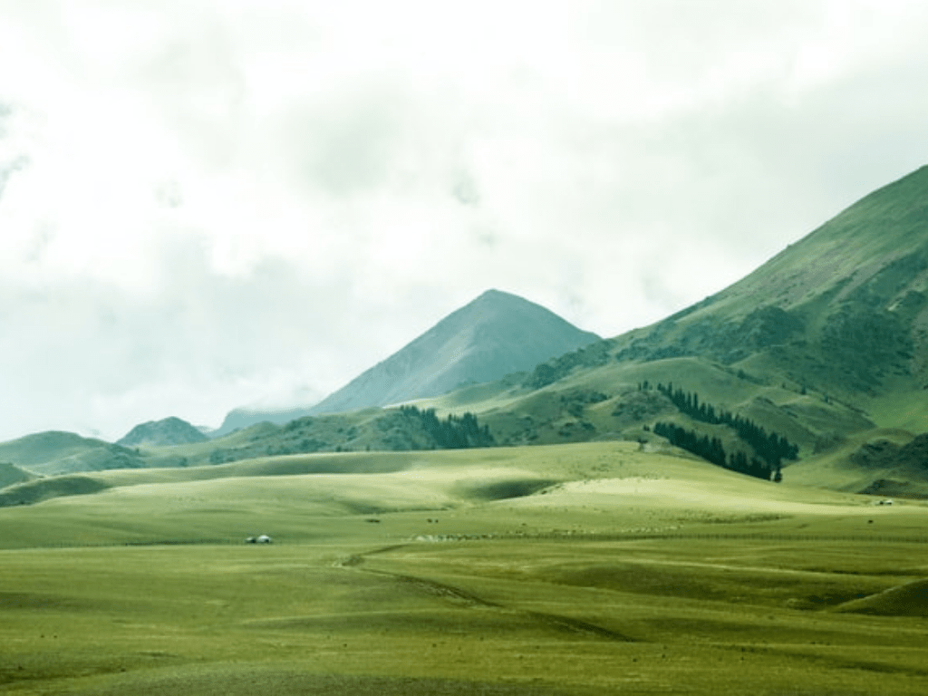 unrestricted land