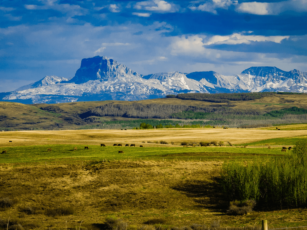 Comparing Prices of land by Acre
