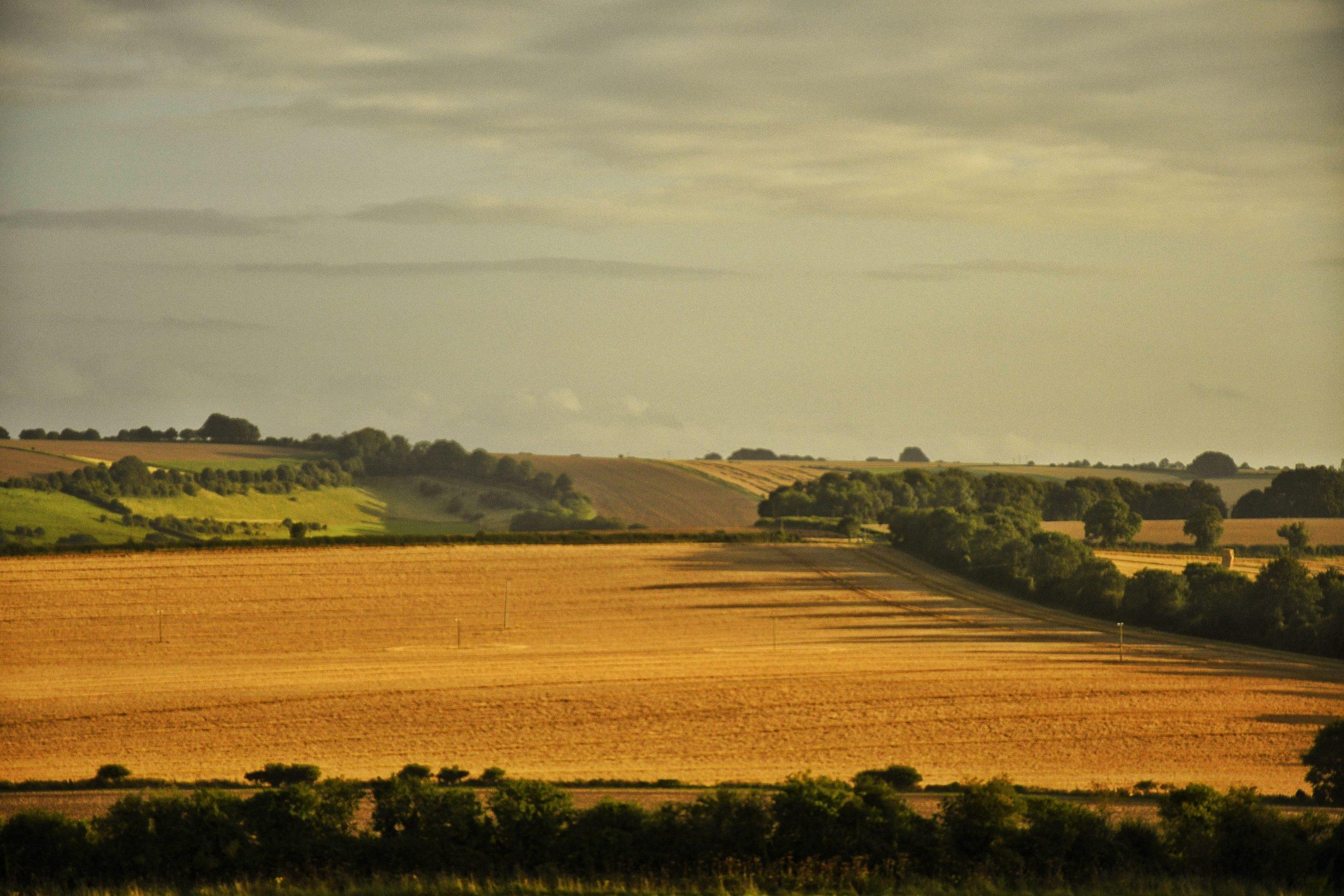 Land
