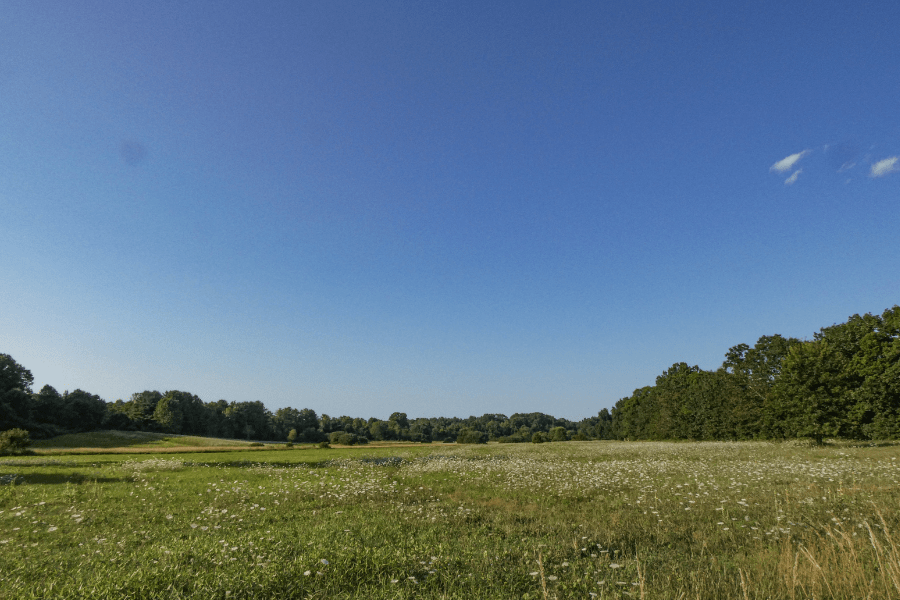 Land Use