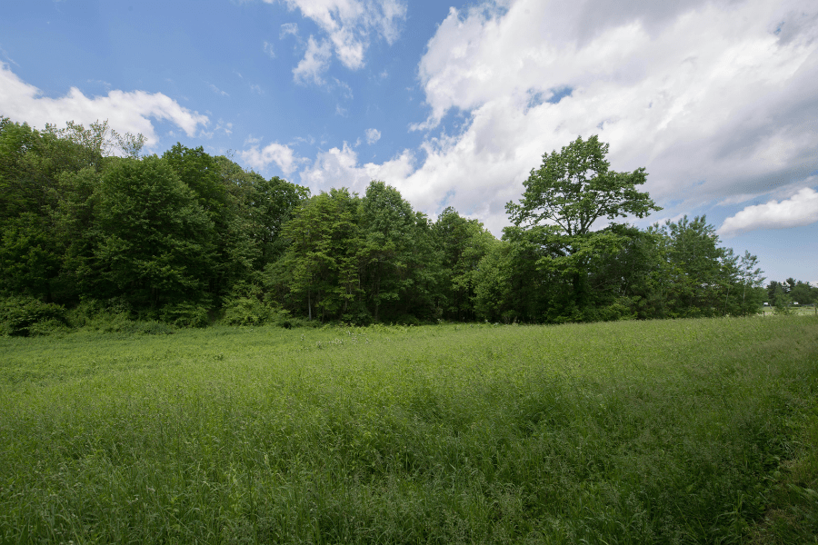 piece of land