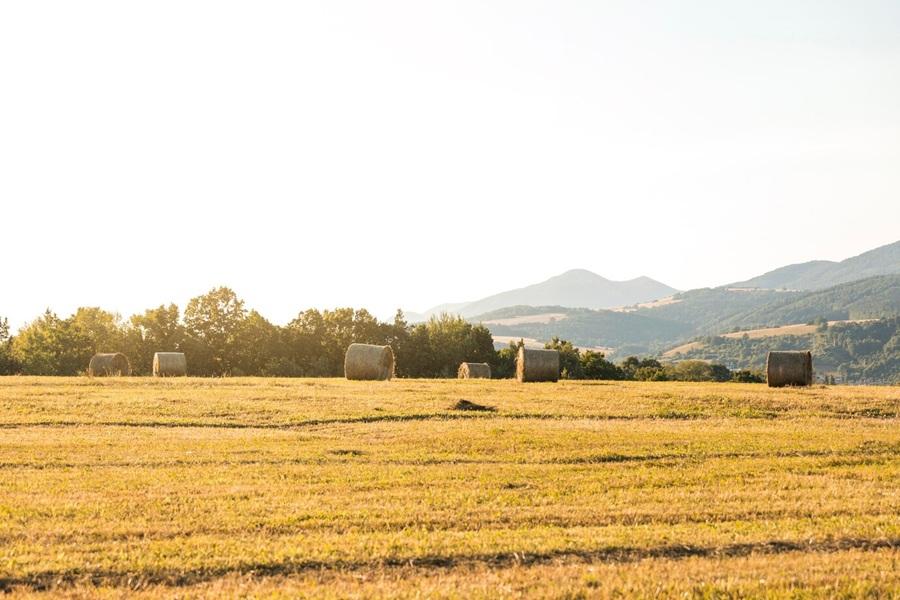 rural area